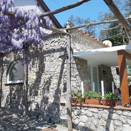 Apartament Shedir Vico Equense Zewnętrze zdjęcie